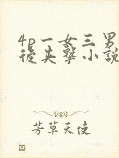 4p一女三男前后夹击小说