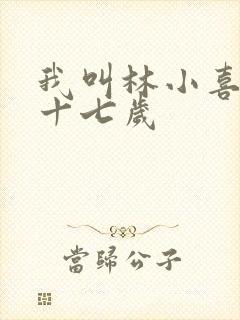 我叫林小喜今年十七岁