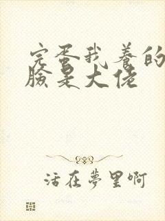 完蛋我养的小白脸是大佬