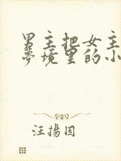 男主把女主拖进梦境里的小说