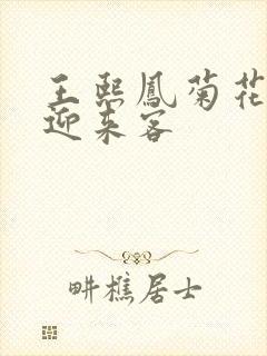 王熙凤菊花门初迎来客