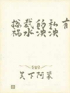 总裁的私有宝贝祸水泱泱