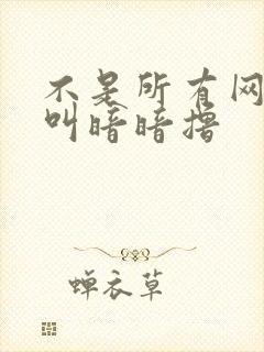 不是所有网站都叫暗暗撸