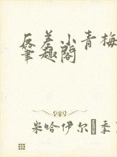 反差小青梅小说笔趣阁