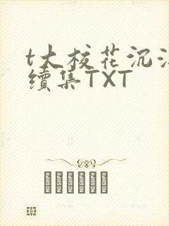 t大校花沉浮录续集TXT