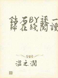 钻石BY逐一而归在线阅读