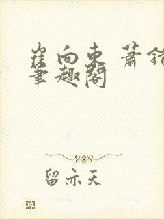 崔向东 萧错 笔趣阁