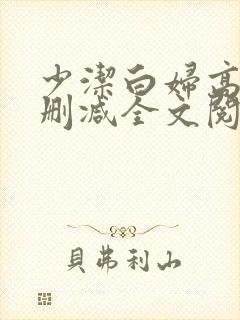 少洁白妇高义无删减全文阅读