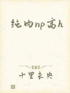 纯肉np高h