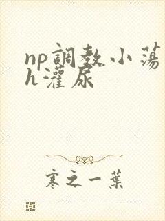 np调教小荡货h灌尿