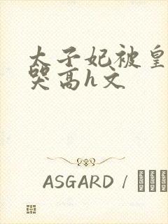 太子妃被皇上c哭高h文