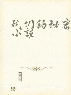 我们的秘密泰剧小说