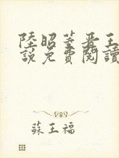 陆昭菱晋王的小说免费阅读