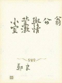 小莹与公翁办公室激情