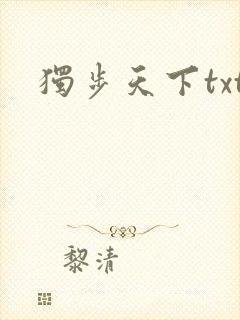 独步天下txt