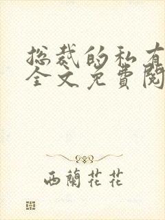 总裁的私有宝贝全文免费阅读