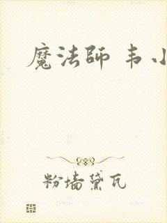 魔法师 韦小宝