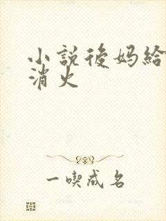 小说后妈给我消消火