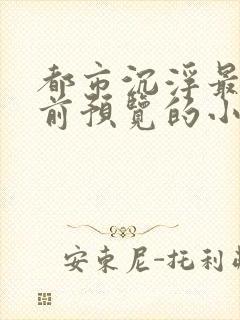 都市沉浮最快超前预览的小说3030