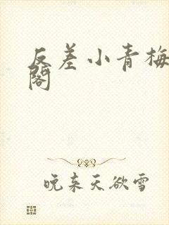 反差小青梅笔趣阁