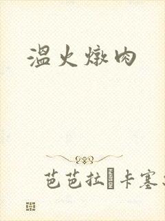 温火炖肉