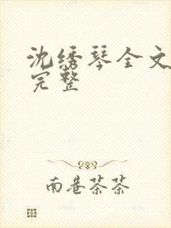 沈绣琴全文阅读完整