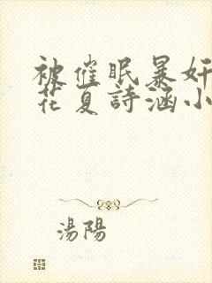 被催眠暴奸的校花夏诗涵小说