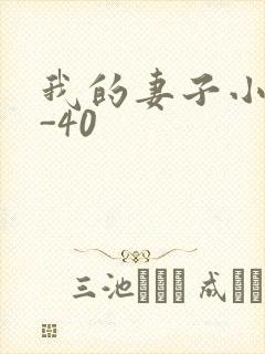 我的妻子小谨1-40