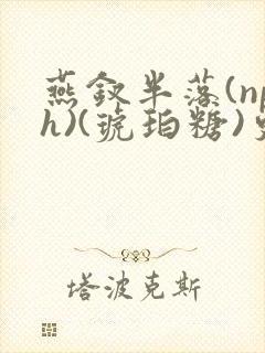 燕钗半落(nph)(琥珀糖)更新