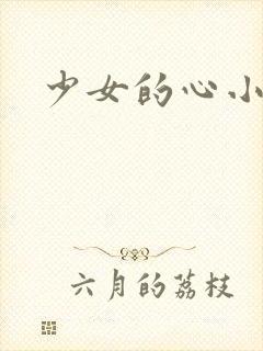少女的心小说