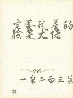 完蛋我养的小白脸是大佬