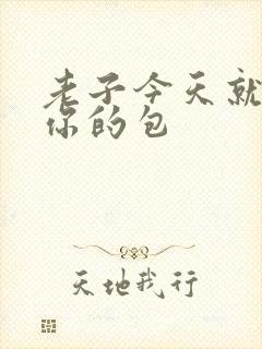 老子今天就要开你的包