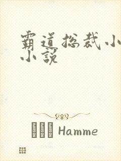 霸道总裁小娇妻小说