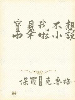 宝贝我不想带小雨伞啦小说