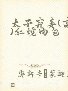 太子宠妾(高肉)红烧肉包