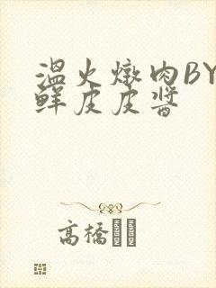 温火炖肉BY海鲜皮皮酱