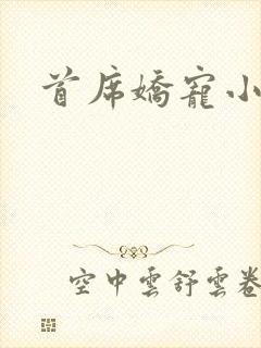 首席娇宠小情人