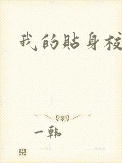 我的贴身校花