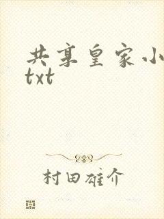 共享皇家小公主txt