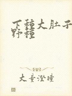 下种大肚子怀孕野种
