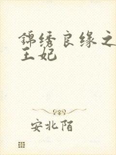 锦绣良缘之北地王妃