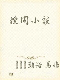 搜同小说