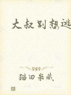 大叔别想逃