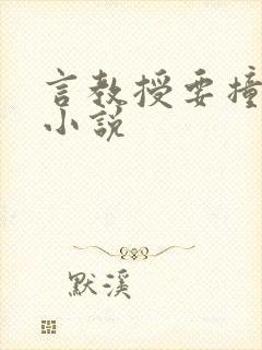 言教授要撞坏了小说