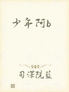 少年阿b
