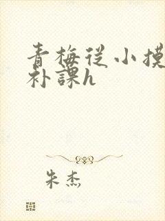 青梅从小摸到大补课h