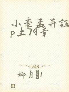 小豪孟卉钰慧三p上79章