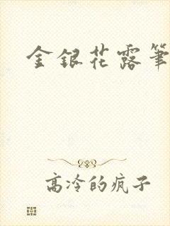 金银花露笔趣阁