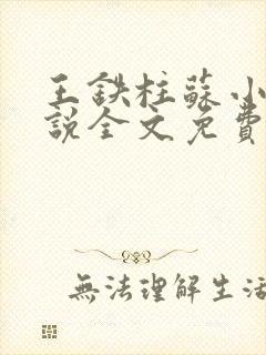 王铁柱苏小汐小说全文免费阅读最新章节