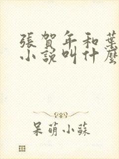 张贺年和叶繁姿小说叫什么名字